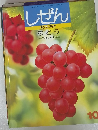 しぜん　10　ぶどう