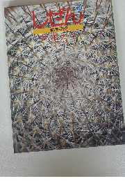 しぜん11　キンダーブック