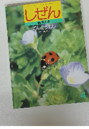 しぜん 4　てんとうむし