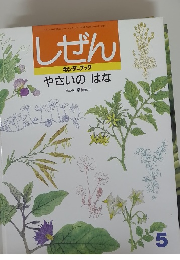 しぜん キンダーブック やさいのはな　5