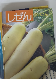 しぜん 12　だいこん