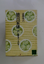 徳川家康22　百雷落つるの巻