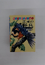 カラー自然シリーズ 5 茨城の野鳥