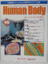 Human　Body　46
