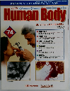 週刊インサイド・ヒューマンボディ　74　