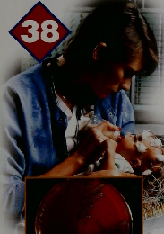 Inside　Human　Body　38　2002年7/2号