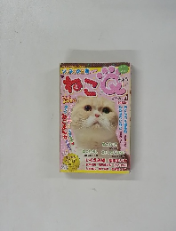 ゾッチャの日常　ねこQ