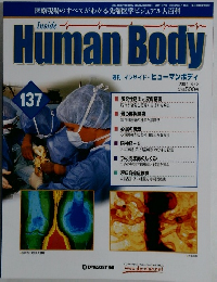 Human Body 137　 2004 6/8