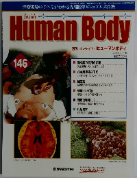 週刊インサイド・ヒューマンボディ　2004年8/10号　146号