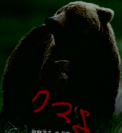 たくさんのふしぎ　3