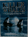 Killer whales　A study of their identification, genealogy, and natural history in British Columbia and Washington State