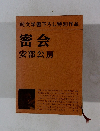 純文学書下ろし特別作品　密会