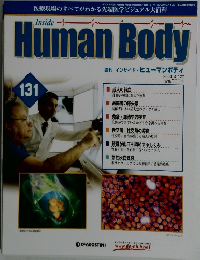 週刊 インサイド・ヒューマンボディ 2004年4/27号