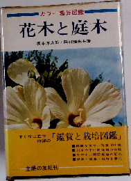 花木と庭木