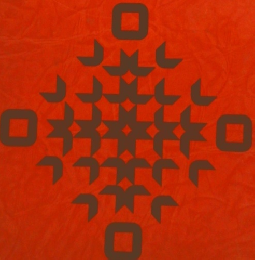 家庭医学大百科　