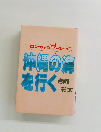 沖縄の海を行く