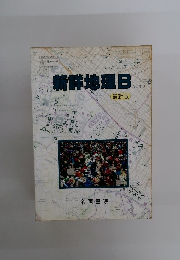 新詳地理 B 