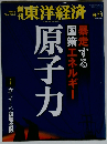 週刊 東洋経済 2011年 6/11号 [雑誌]