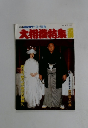 大相撲特集　1995年7月1日発行