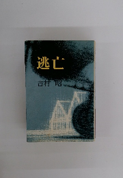 逃亡