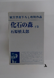 化石の森　下