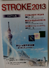STROKE　2013