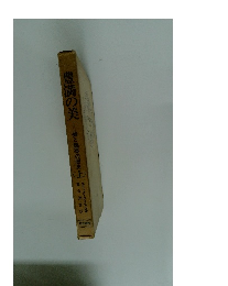 豊満の美 美と魅惑の歴史 上