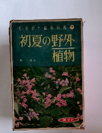 原色野外観察図鑑　2　初夏の野外植物