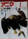アニマ 1989年1月号