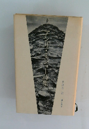 アンリ・ミショ詩集