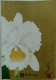 歌舞伎座　1995年6月号