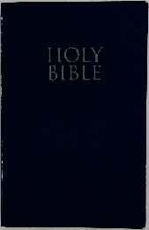 Holy Bible: New International Version, Burgundy, Leather-Look, Gift and Award