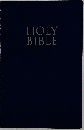 Holy Bible: New International Version, Burgundy, Leather-Look, Gift and Award