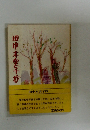 田中木実子抄