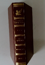 世界ベストブックス　ドミノ　