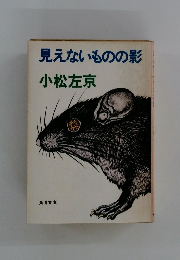 見えないものの影