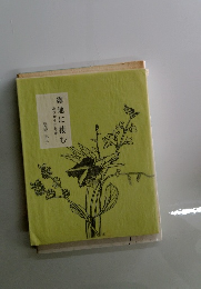 あれから二年半露地に棲む