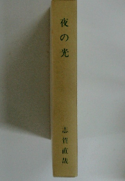 夜の光
