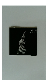 飛翔　オリが作品に魅せられて30年