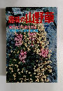趣味の山野草7 1986