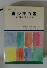 青少年白書