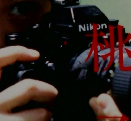 MOMOKO　菊池 桃子