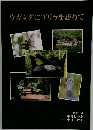ウガンダにゴリラを訪ねて 2013年9月号 