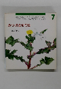 年少版 こどものとも 7  みつのませてね