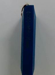 サジエと魔去の本