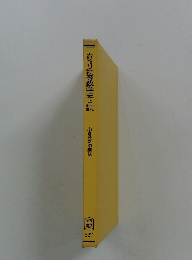カジョリ初等数学史 上