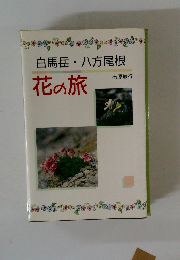 白馬岳八方尾根　花の旅