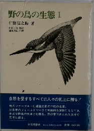 野の鳥の生態「1」