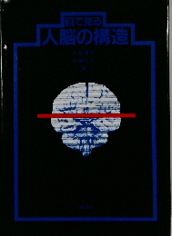 目で見る人脳の構造