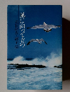 立石信吉・淑子伝　風に向って立つ